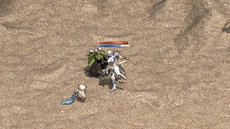 11月20日 マンドラゴラ.jpg